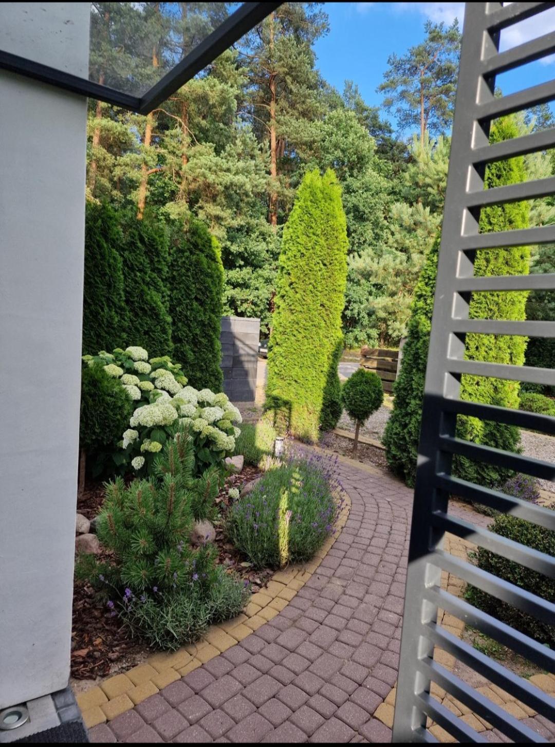 Apartamenty Pod Sosnami Ostroda Miedzylesie 6Os 객실 사진