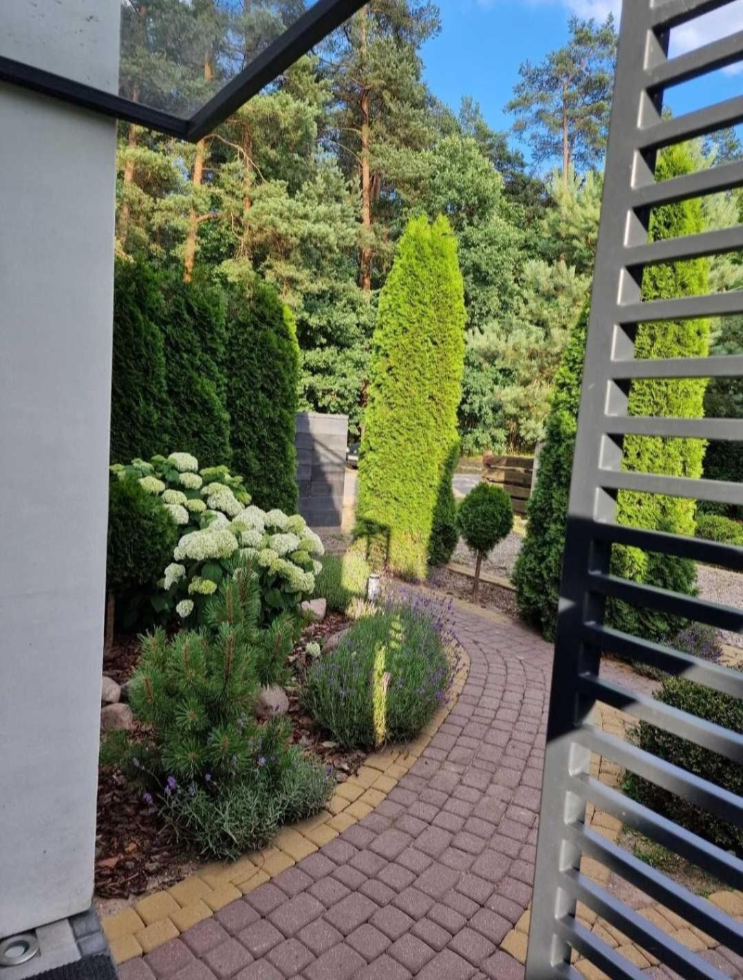 Apartamenty Pod Sosnami Ostroda Miedzylesie 6Os 객실 사진